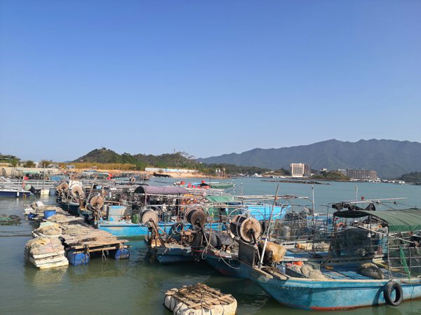 海南自由贸易港的落户